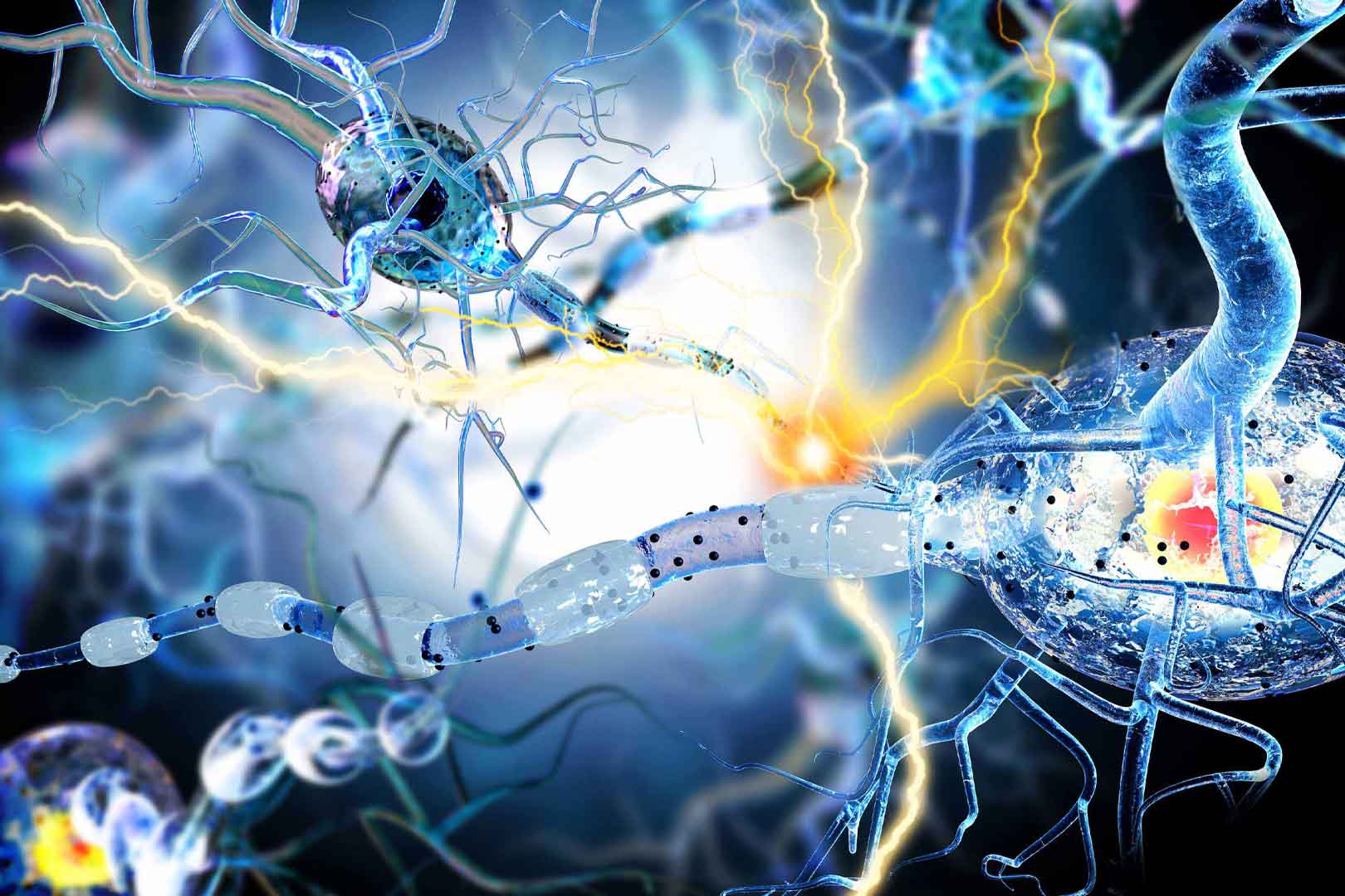 Recovering From A Knee Injury Anova Irm Germany