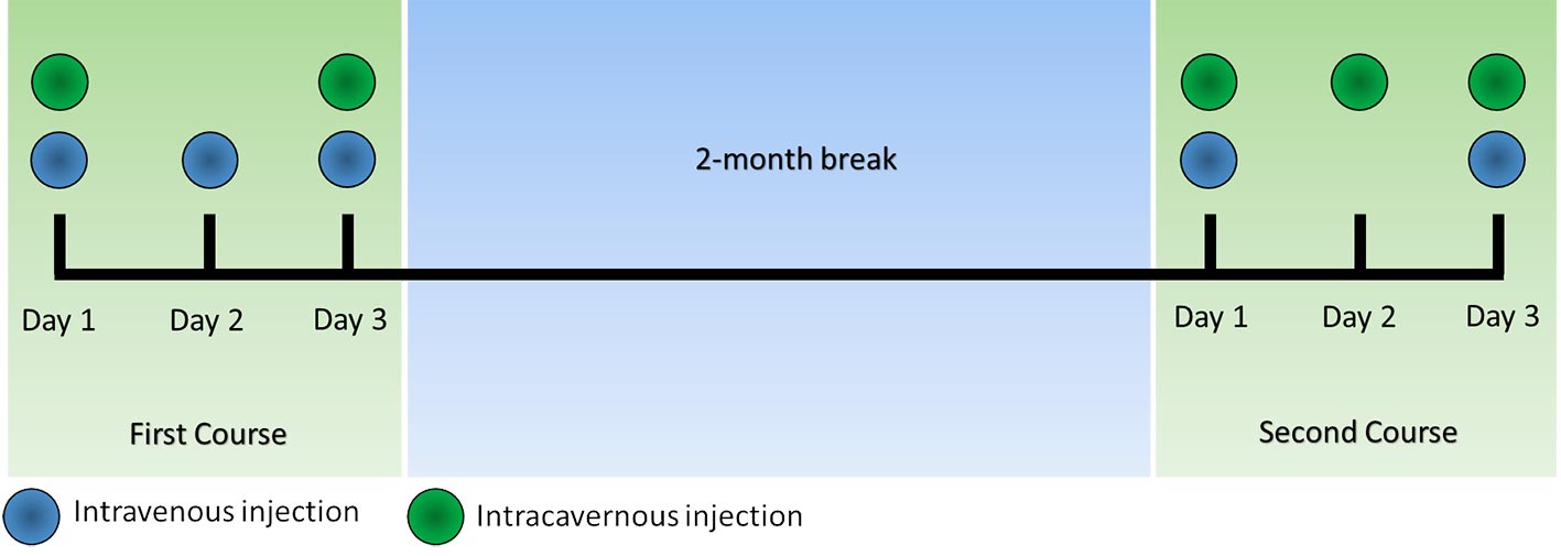 treatment schema