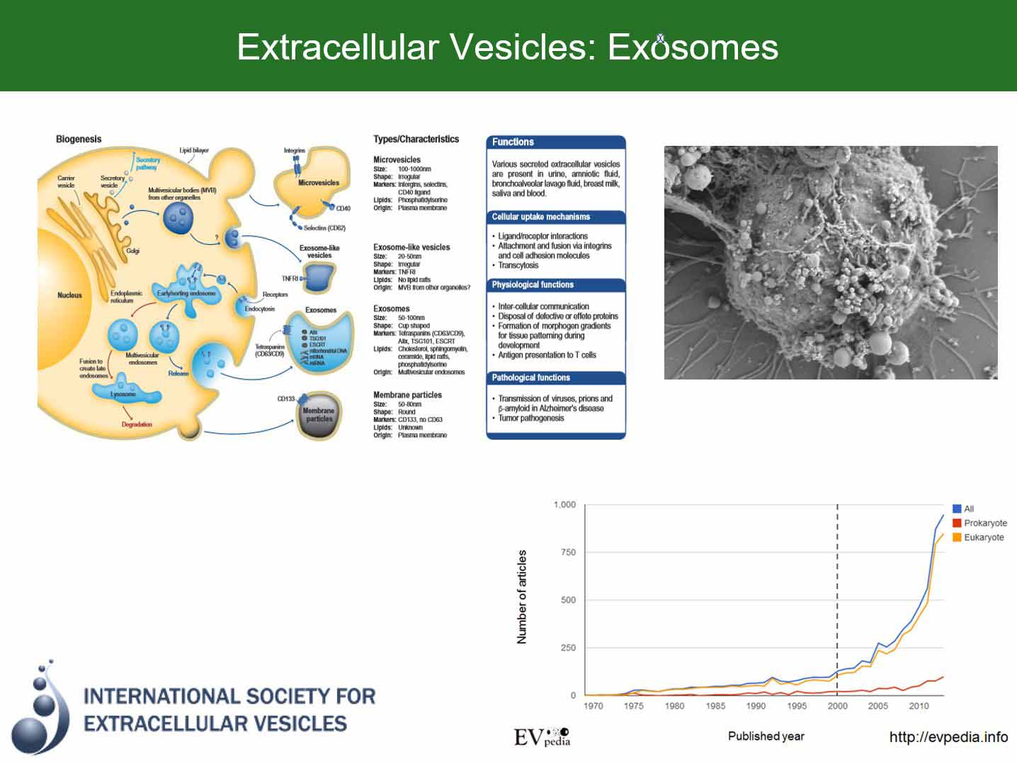 Mesenchmal Stem Cells Extracellular Vesicles Exosomes Statistics