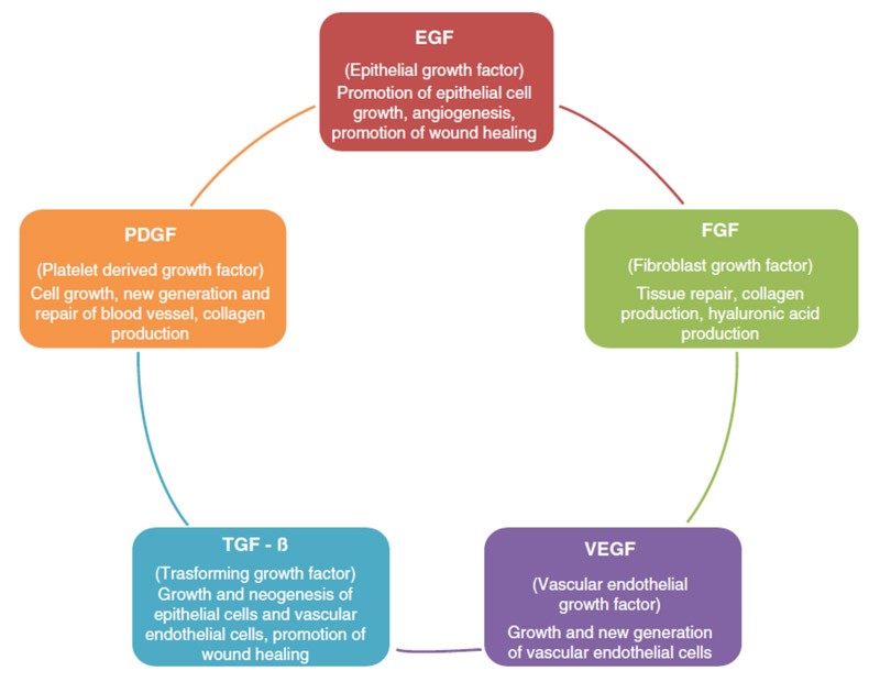 01 Figure PRP Article