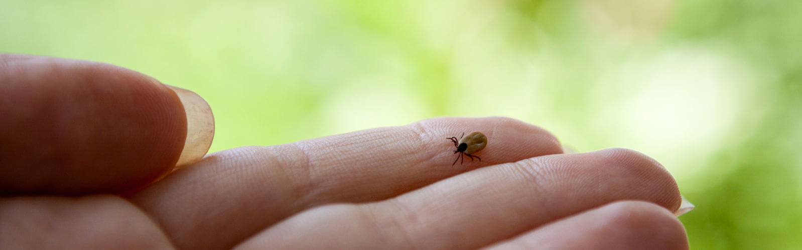 anova institute for regenerative medicine - lyme disease