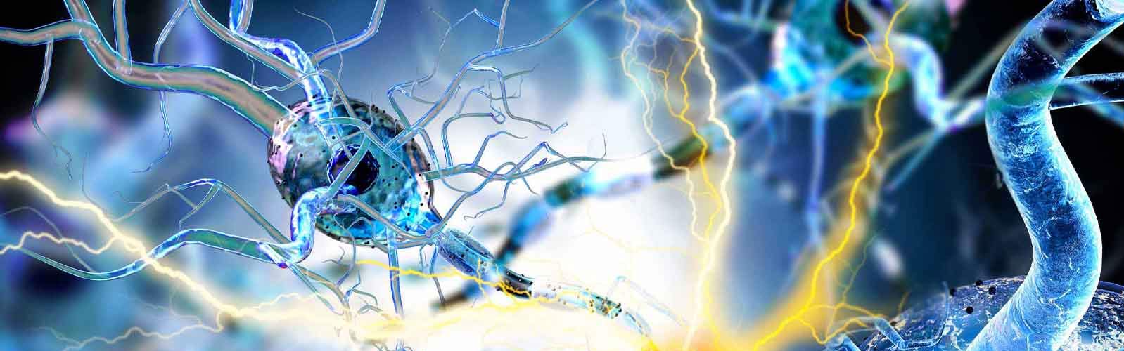 anova institute for regenerative medicine - multiple sclerosis how stem cells could help