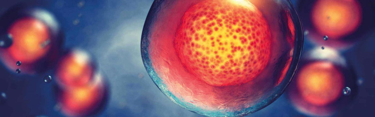 anova institute for regenerative medicine - secretome exosomes therapy