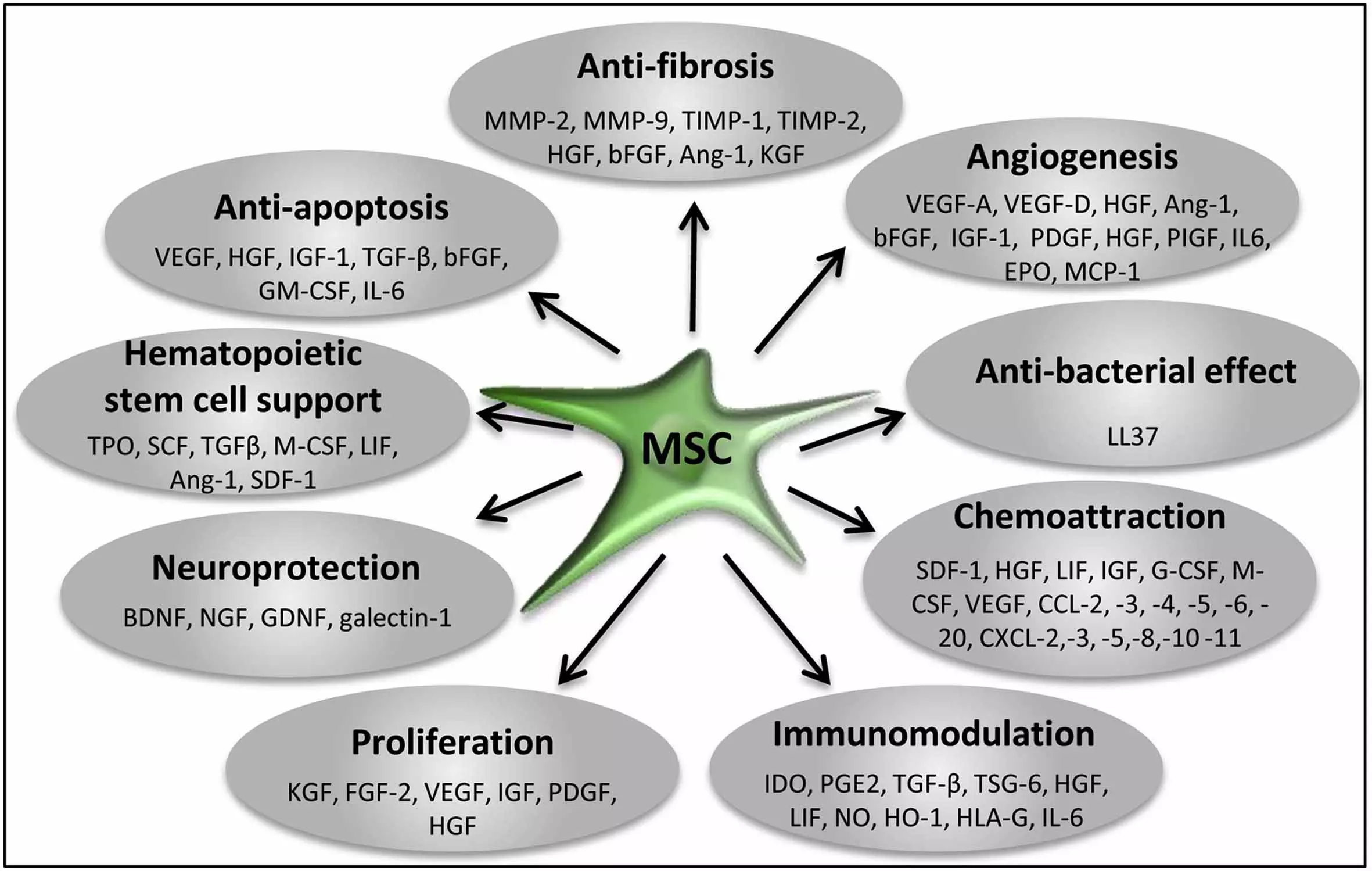 /images/InfoProfessionals/Stem-Cell-Secretome-Paracrine-Factors.jpg /images/InfoProfessionals/Stem-Cell-Secretome-Paracrine-Factors.jpg