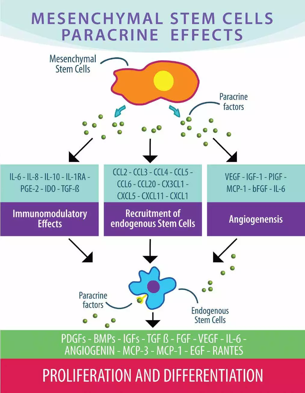 Stem Cell Secretome RA Stem Cell Secretome RA