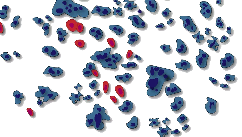 Stammzellen-Therapie-PRP-Plaettchen-reiches-Plasma | ANOVA IRM